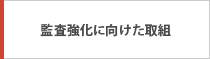 監査強化に向けた取組